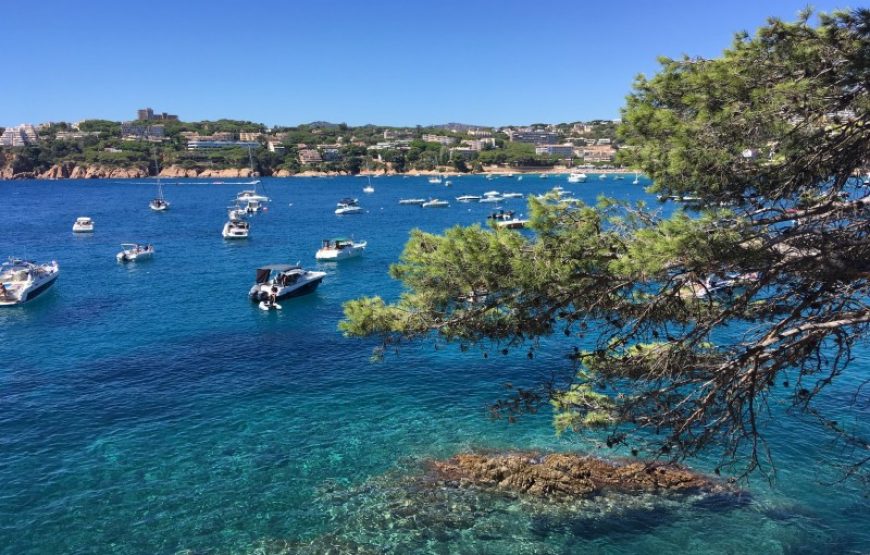 Expérience transfrontalière : Expérience sur le Littoral en Famille