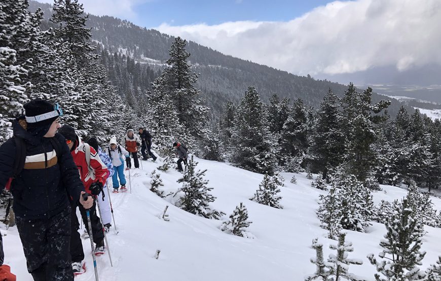 Randonnée et Balade en Raquettes à Neige aux Angles (demi-journée)