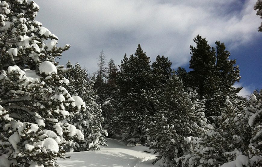 Randonnée et Balade en Raquettes à Neige aux Angles (demi-journée)