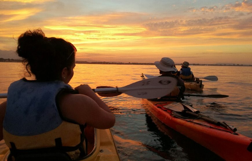 Balades accompagnées en Kayak de mer