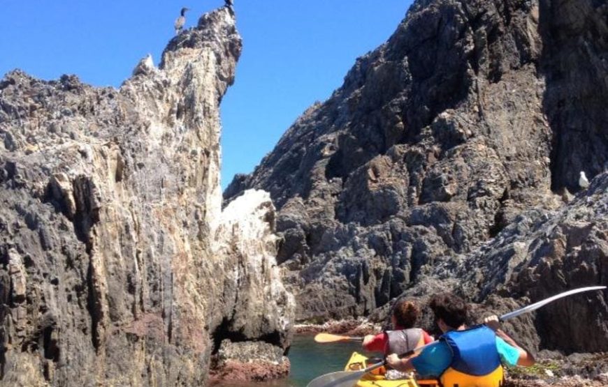 Balades accompagnées en Kayak de mer