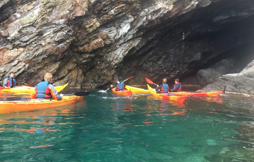 Balades accompagnées en Kayak de mer