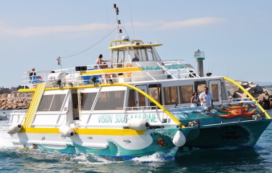 Une balade en bateau au milieu des poissons : Cap sur la côte Vermeille !