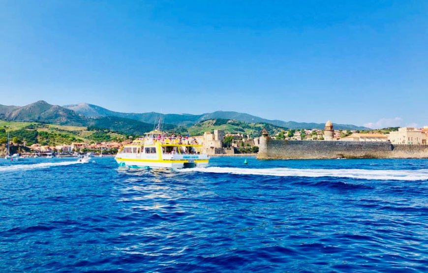 Une balade en bateau au milieu des poissons : Cap sur la côte Vermeille !