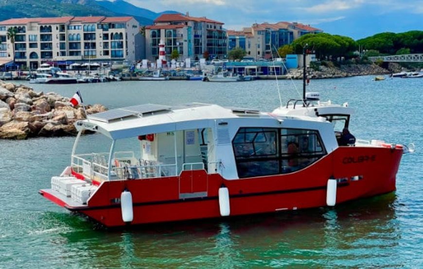 Balade en bateau à la découverte des dauphins : Cap sur la côte Vermeille !