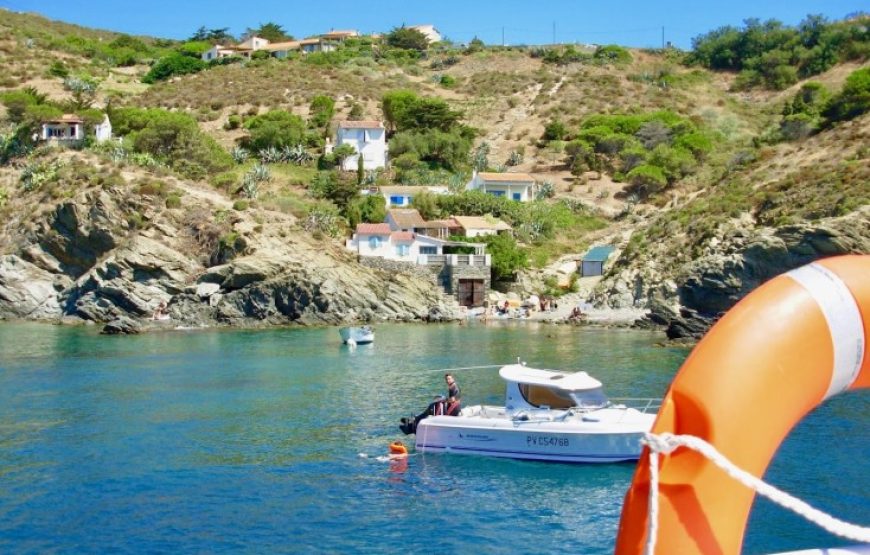 Cap sur Collioure grâce à la navette en bateau !