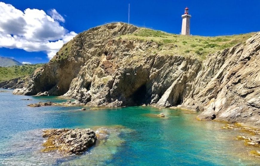 Une balade en bateau au milieu des poissons : Cap sur la côte Vermeille !