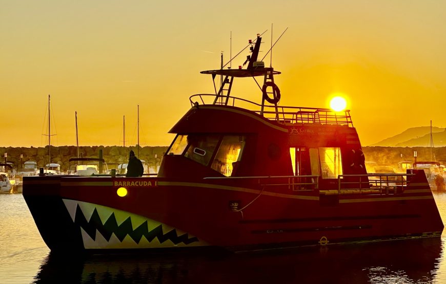 Balade en bateau : Cap sur le coucher de soleil depuis la mer à Argelès !