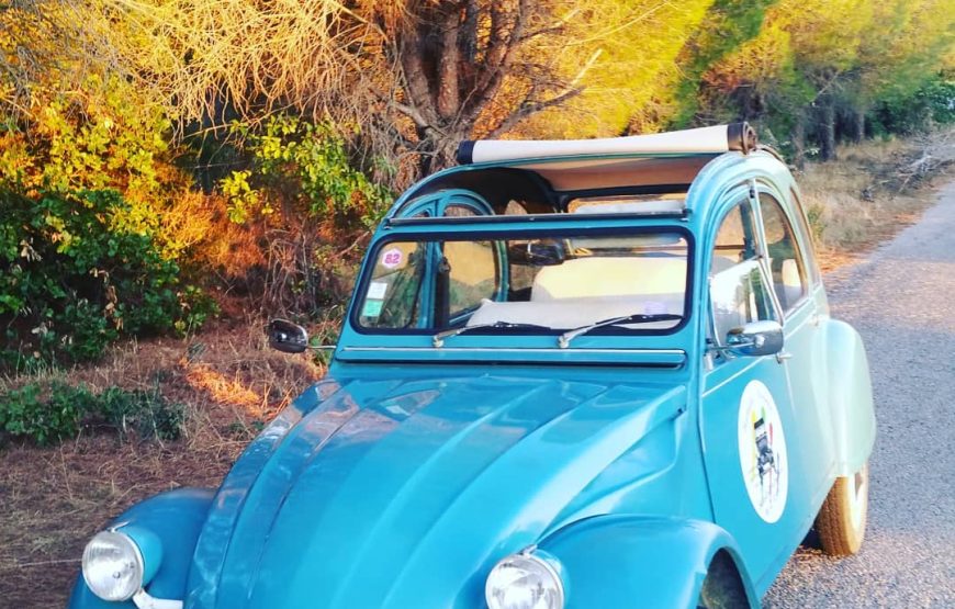 Partez en 2CV à la découverte de la Plaine du Roussillon !
