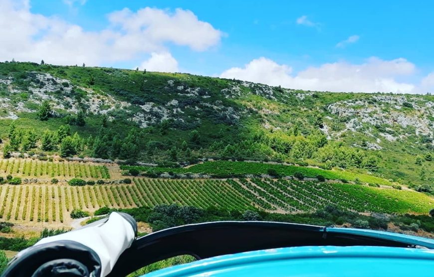 Partez en 2CV à la découverte de la Plaine du Roussillon !