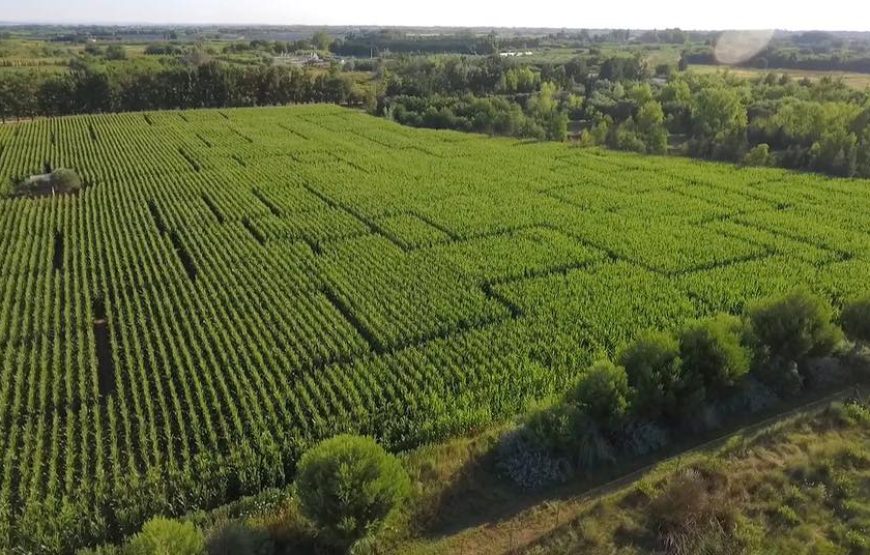 Parcs et labyrinthes pour toute la famille