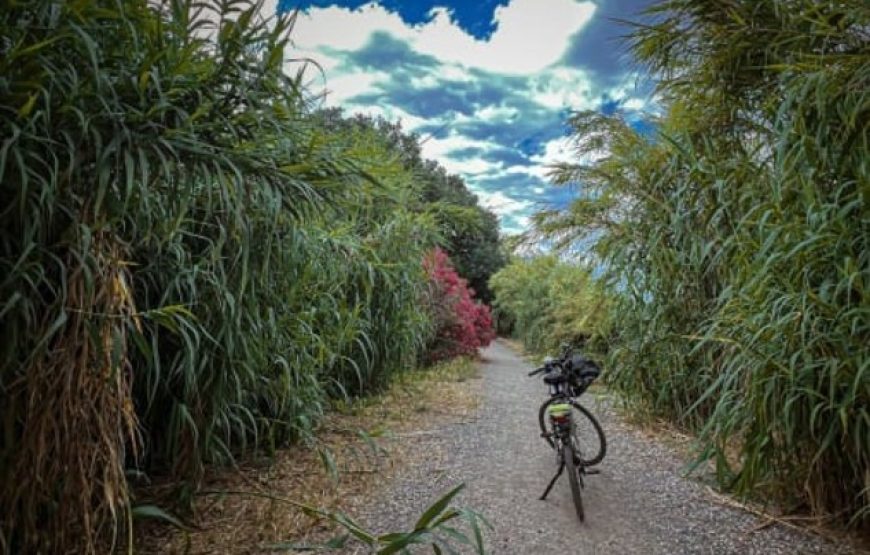 Balade à vélo d’Oniria à l’Arboretum de Canet-en-Roussillon !