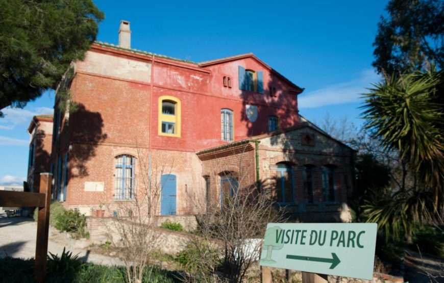 Découverte et cueillette à l’arboretum de Canet-en-Roussillon !