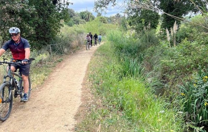 Balade à vélo d’Oniria à l’Arboretum de Canet-en-Roussillon !