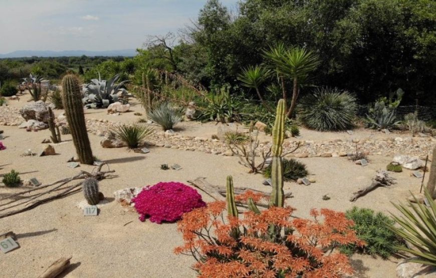 Découverte et cueillette à l’arboretum de Canet-en-Roussillon !