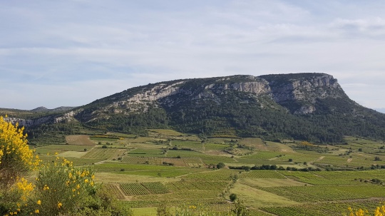 Pyrénées Orientales